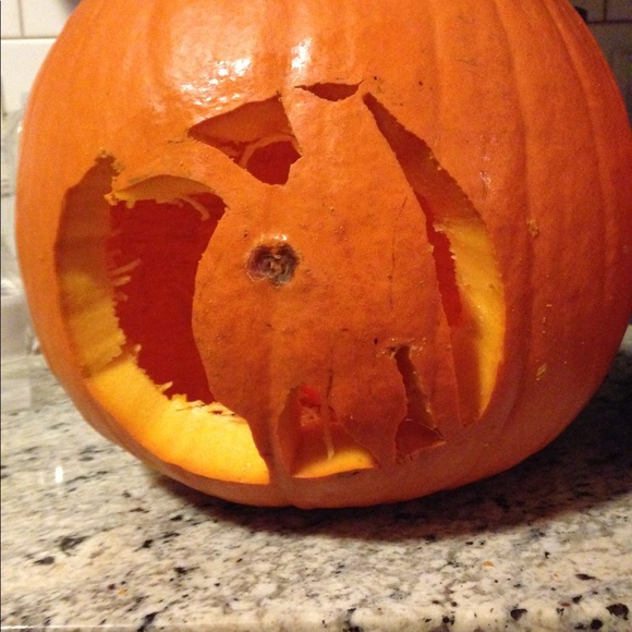 Meet your Posher, Jesse - Picture 1 of 1